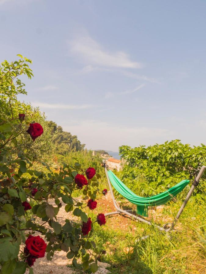 Hostel Kapa Hvar Town Zewnętrze zdjęcie
